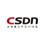 CSDN WordPress CDN 教程 网站图标